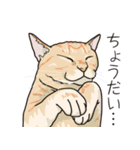 愉快なニャンコの仲間達03（個別スタンプ：37）