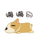 Corgi 007-part2（個別スタンプ：1）