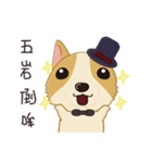 Corgi 007-part2（個別スタンプ：5）