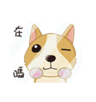 Corgi 007-part2（個別スタンプ：15）