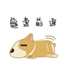 Corgi 007-part2（個別スタンプ：19）