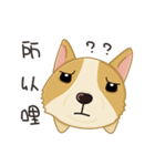 Corgi 007-part2（個別スタンプ：22）