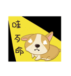 Corgi 007-part2（個別スタンプ：23）