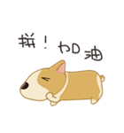 Corgi 007-part2（個別スタンプ：26）