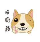 Corgi 007-part2（個別スタンプ：28）