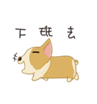 Corgi 007-part2（個別スタンプ：36）