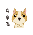 Corgi 007-part2（個別スタンプ：38）