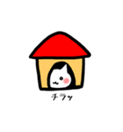 ほんわかにゃんこ【日常会話】（個別スタンプ：1）