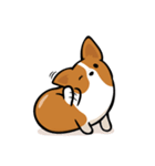 Corgi Dog KaKa - Daily Life（個別スタンプ：1）