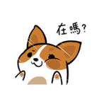 Corgi Dog KaKa - Daily Life（個別スタンプ：2）