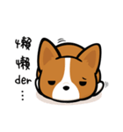 Corgi Dog KaKa - Daily Life（個別スタンプ：5）