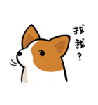 Corgi Dog KaKa - Daily Life（個別スタンプ：8）