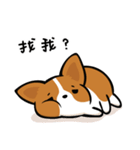 Corgi Dog KaKa - Daily Life（個別スタンプ：9）