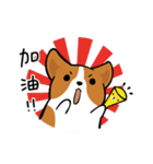 Corgi Dog KaKa - Daily Life（個別スタンプ：11）