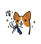 Corgi Dog KaKa - Daily Life（個別スタンプ：12）