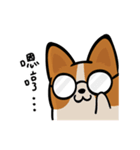 Corgi Dog KaKa - Daily Life（個別スタンプ：13）