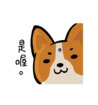 Corgi Dog KaKa - Daily Life（個別スタンプ：14）