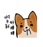 Corgi Dog KaKa - Daily Life（個別スタンプ：15）