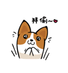 Corgi Dog KaKa - Daily Life（個別スタンプ：17）