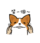 Corgi Dog KaKa - Daily Life（個別スタンプ：18）