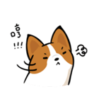 Corgi Dog KaKa - Daily Life（個別スタンプ：20）