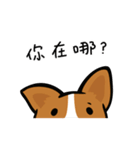 Corgi Dog KaKa - Daily Life（個別スタンプ：22）