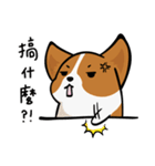 Corgi Dog KaKa - Daily Life（個別スタンプ：27）