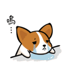 Corgi Dog KaKa - Daily Life（個別スタンプ：29）