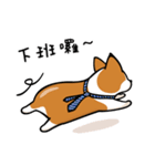 Corgi Dog KaKa - Daily Life（個別スタンプ：30）