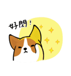 Corgi Dog KaKa - Daily Life（個別スタンプ：32）