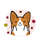 Corgi Dog KaKa - Daily Life（個別スタンプ：36）