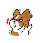 Corgi Dog KaKa - Daily Life（個別スタンプ：37）