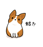 Corgi Dog KaKa - Daily Life（個別スタンプ：39）