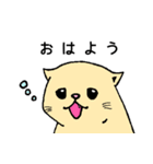 あざといアニマルズ（個別スタンプ：6）