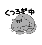 ひろっぱくんの毎日（個別スタンプ：16）
