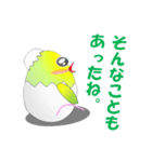 たまごインコ（個別スタンプ：16）