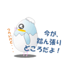 たまごインコ（個別スタンプ：23）