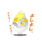 たまごインコ（個別スタンプ：30）