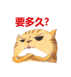 CAT！DIDI！ I just want to say（個別スタンプ：3）