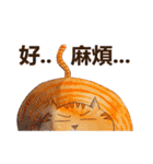 CAT！DIDI！ I just want to say（個別スタンプ：4）