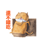 CAT！DIDI！ I just want to say（個別スタンプ：5）