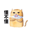 CAT！DIDI！ I just want to say（個別スタンプ：12）