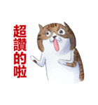 CAT！DIDI！ I just want to say（個別スタンプ：15）