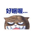 CAT！DIDI！ I just want to say（個別スタンプ：16）