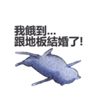 CAT！DIDI！ I just want to say（個別スタンプ：24）