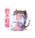 CAT！DIDI！ I just want to say（個別スタンプ：38）