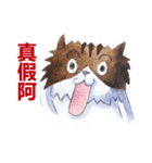 CAT！DIDI！ I just want to say（個別スタンプ：40）