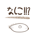 Eye-brown (日本)（個別スタンプ：5）