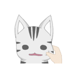 Kyouya is My Cat 2 (EN)（個別スタンプ：16）