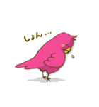 陽気なピンクの鳥（個別スタンプ：34）